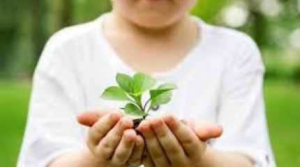 SOIN ENERGETIQUE ENFANT