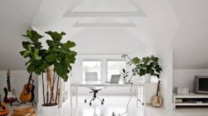 ETUDE FENG SHUI POUR PROFESSIONNEL