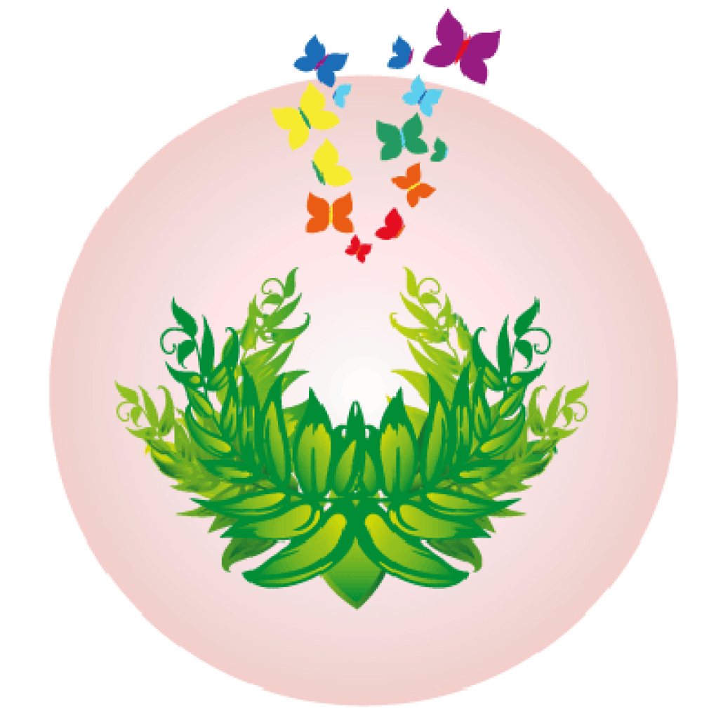 Visitez le Centre Seconde Vie Réunion